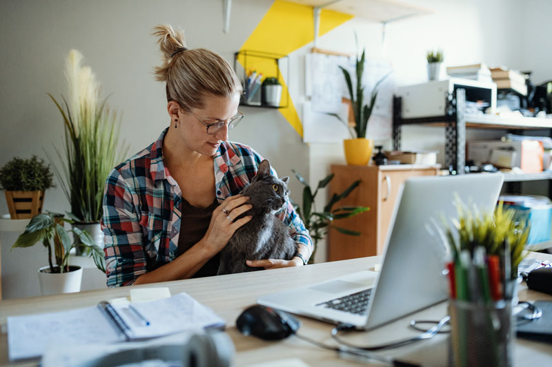 une femme distraite par son chat au travail